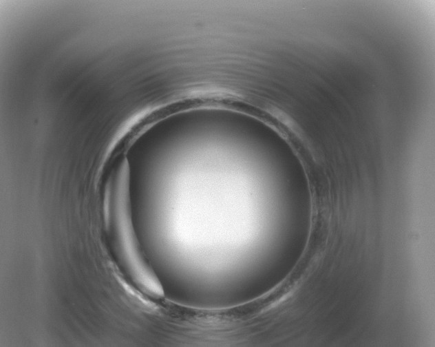 X0000082721022200702021439