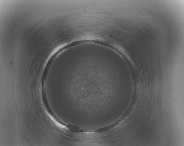 X0000082721024200702021439