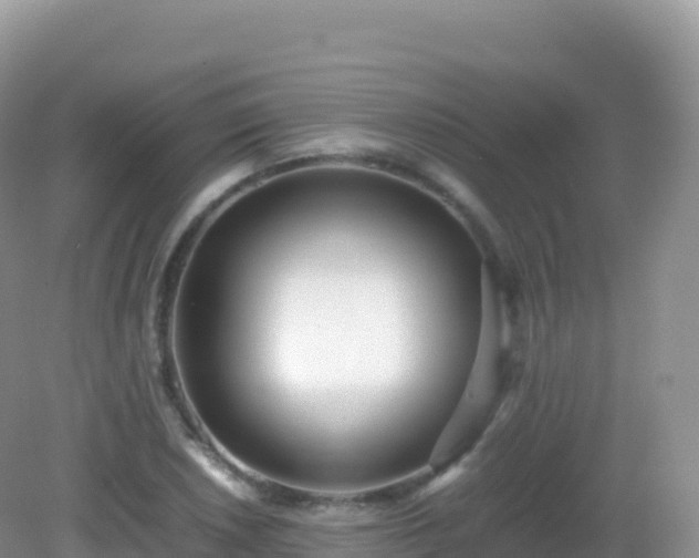 X0000082721026200702021439