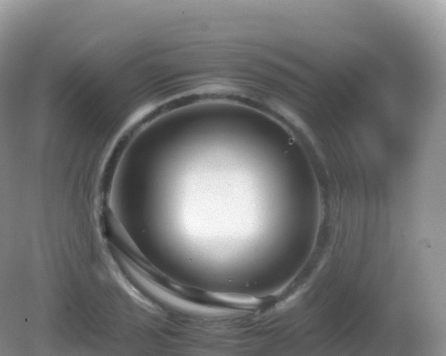 X0000082721029200702021439