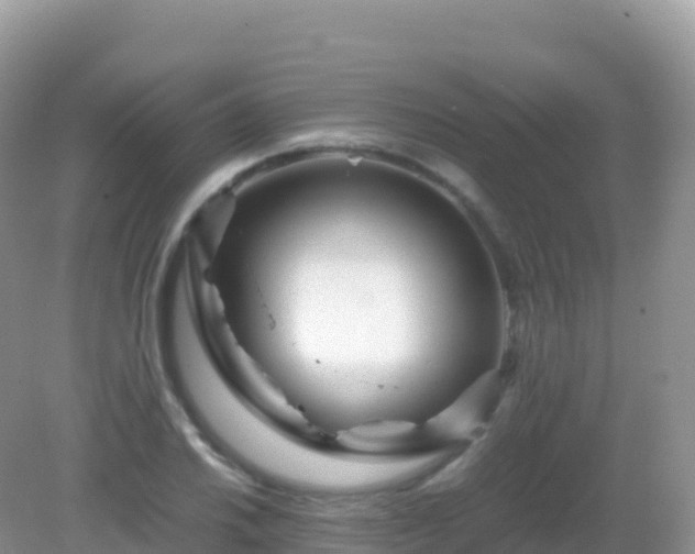 X0000082721030200702021440