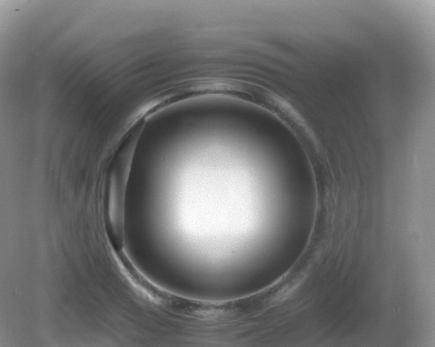 X0000082721033200702021440