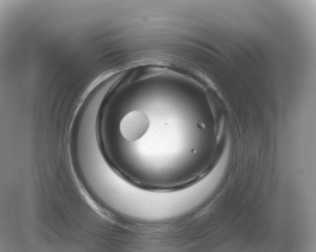 X0000082721034200702021440