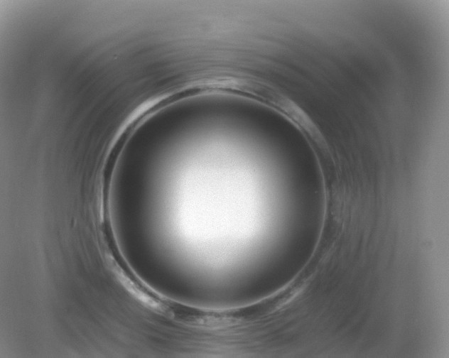 X0000082721036200702021440