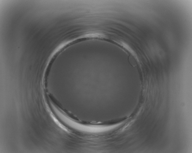 X0000082721037200702021440