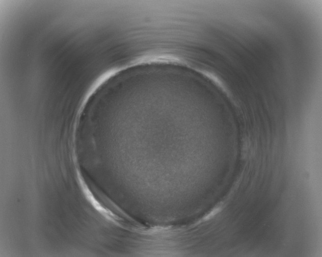 X0000082721038200702021440