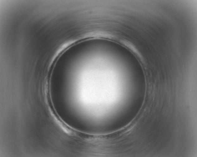 X0000082721040200702021440