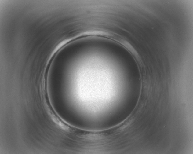 X0000082721044200702021440