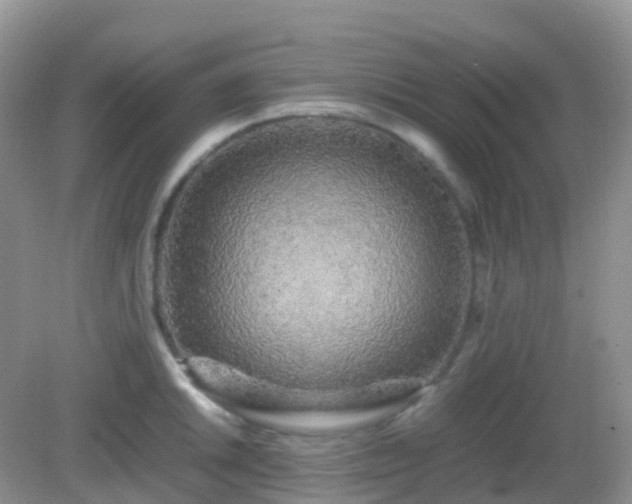 X0000082721046200702021440