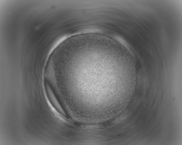 X0000082721047200702021440
