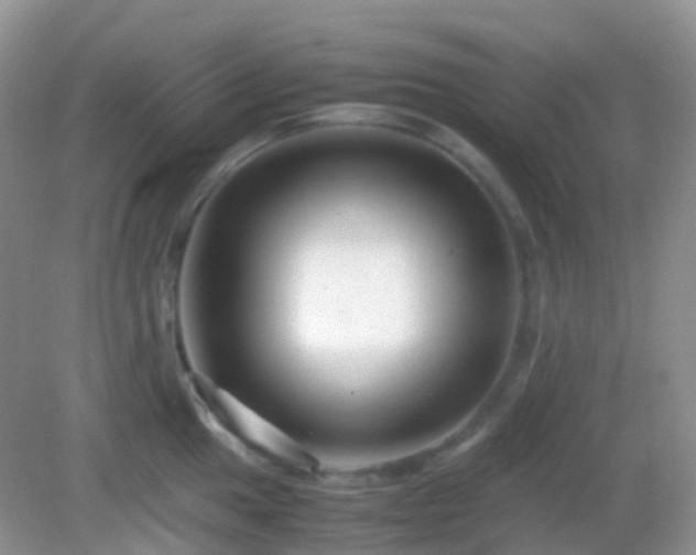 X0000082721049200702021440