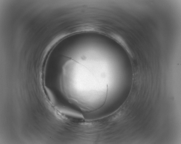 X0000082721051200702021440