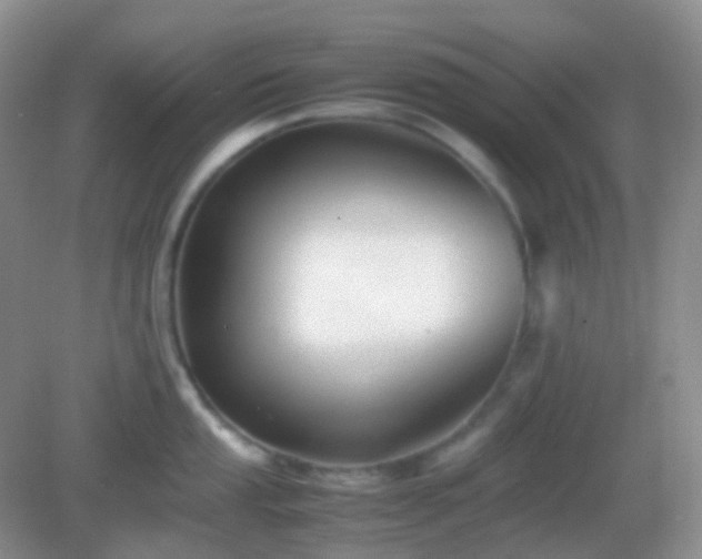 X0000082721053200702021440