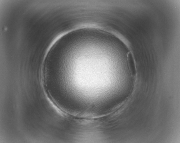 X0000082721056200702021440