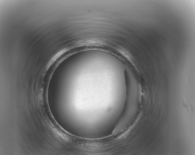 X0000082721066200702021439
