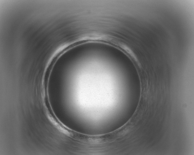X0000082721080200702021439