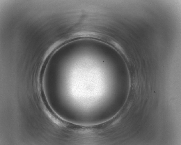 X0000082721082200702021439