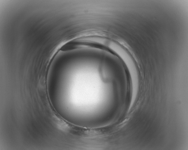 X0000082721089200702021439