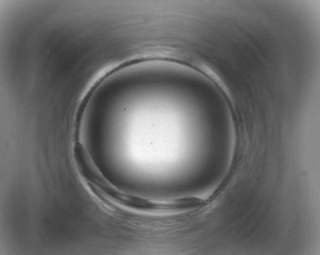 X0000082721093200702021439