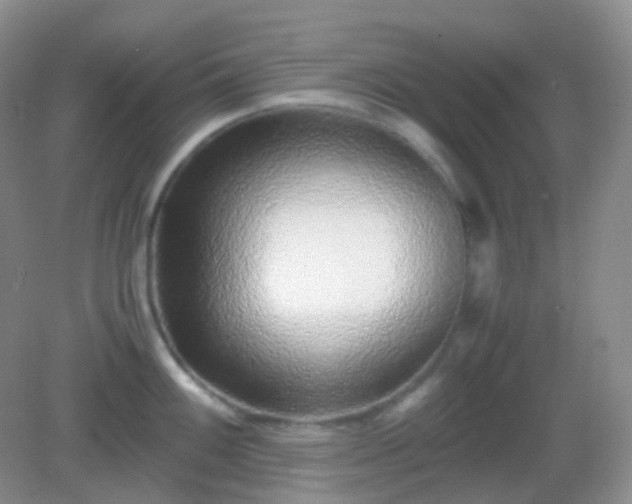 X0000082721100200702021438