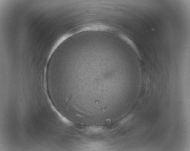 X0000082721103200702021438