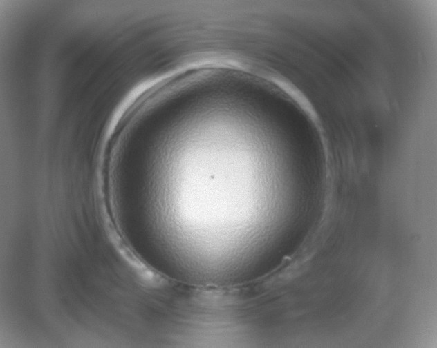 X0000082721104200702021438