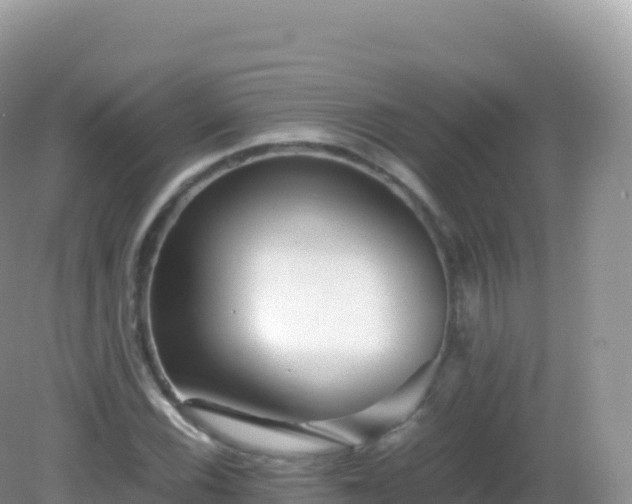 X0000082721116200702021438