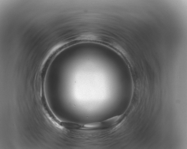 X0000082721123200702021438