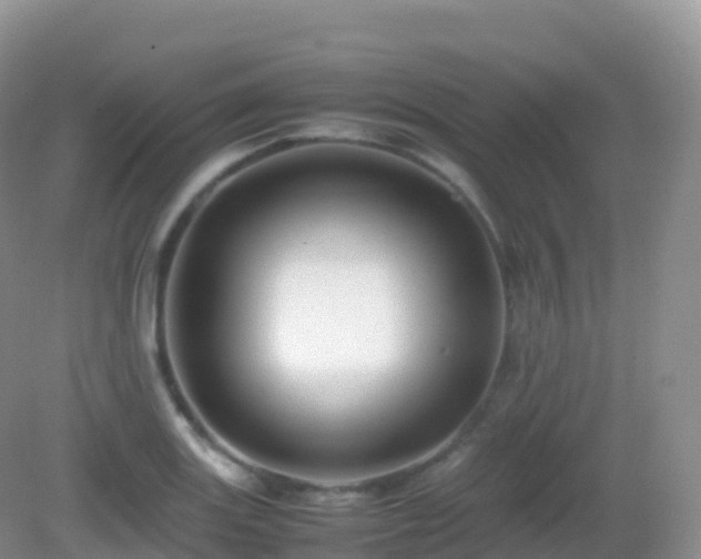 X0000082721131200702021438