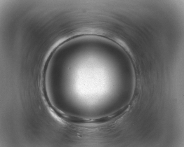 X0000082721136200702021438