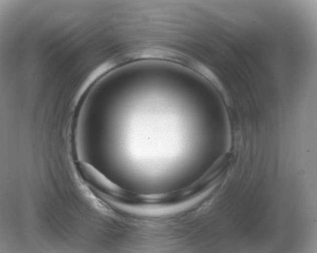 X0000082721138200702021438
