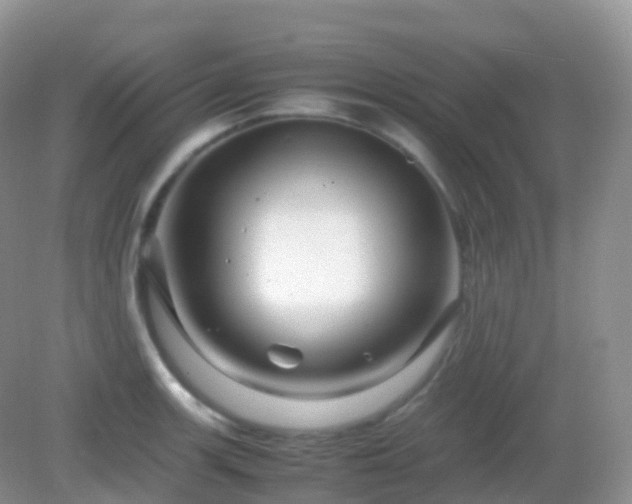 X0000082721139200702021438