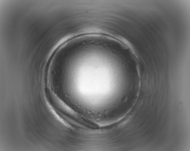 X0000082721142200702021438