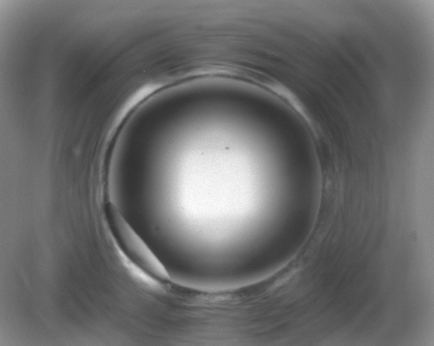 X0000082721143200702021438
