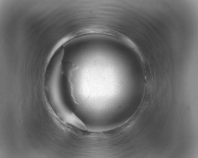 X0000082721146200702021438