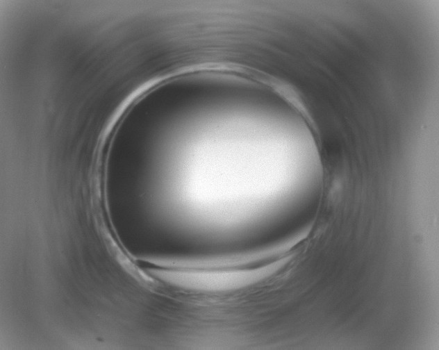 X0000082721148200702021438