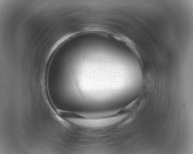 X0000082721149200702021438