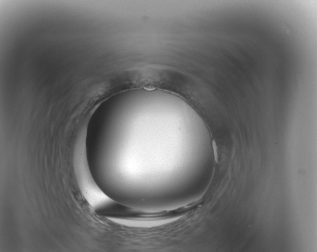 X0000082721153200702021438