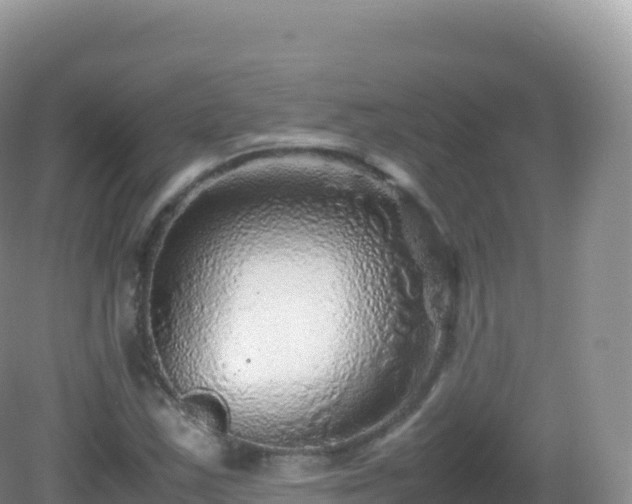 X0000082721163200702021437