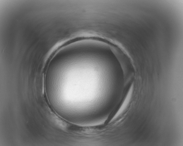X0000082721175200702021437