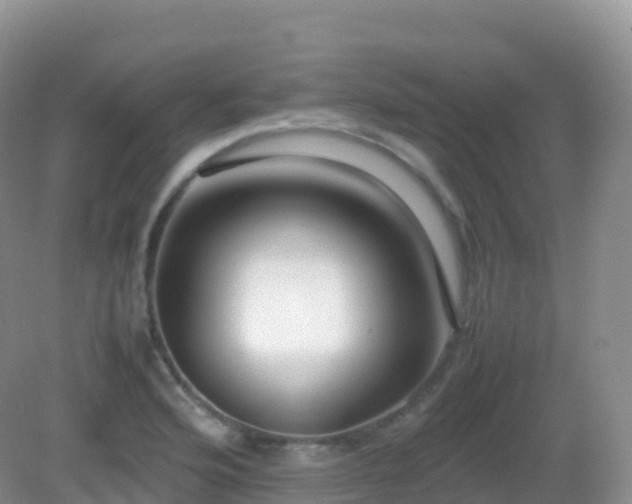 X0000082721176200702021437