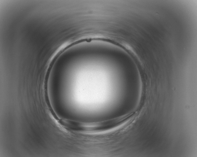 X0000082721181200702021437