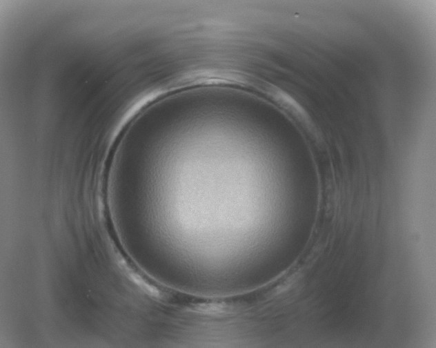X0000082721182200702021437