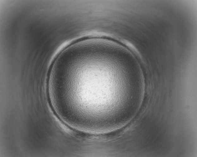 X0000082721183200702021437