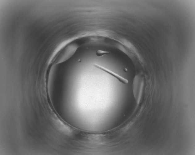 X0000082721184200702021437
