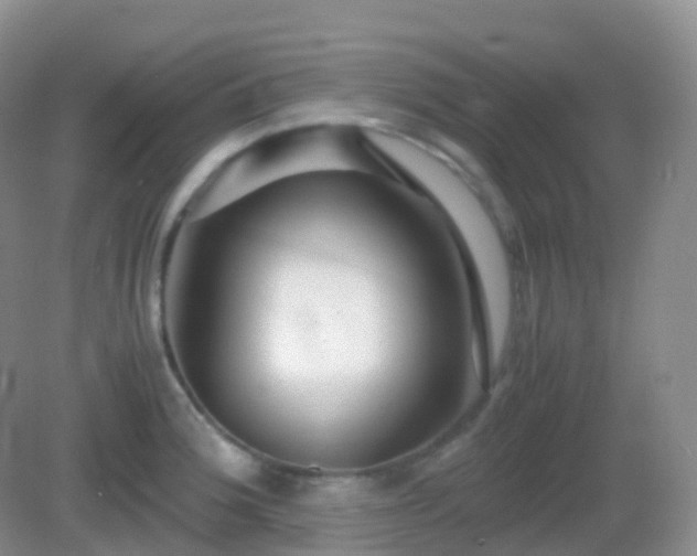 X0000082721188200702021437