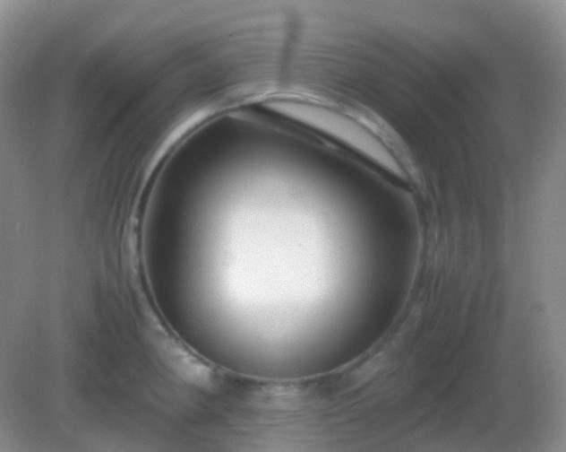 X0000082721190200702021437