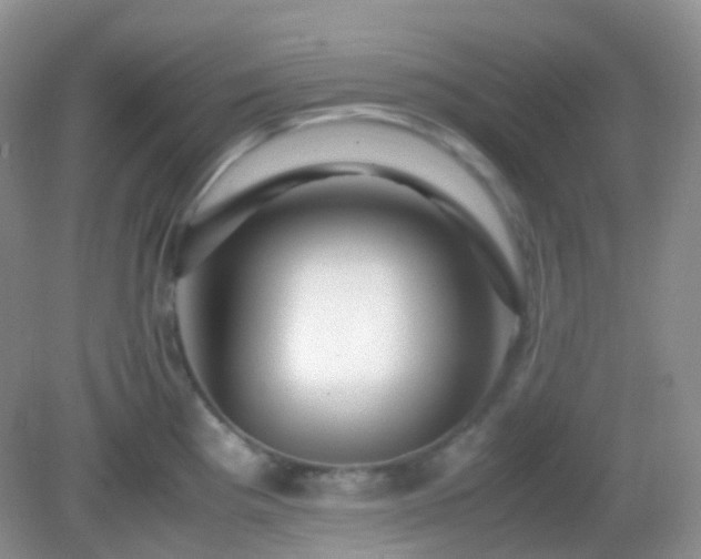 X0000082721193200702021437