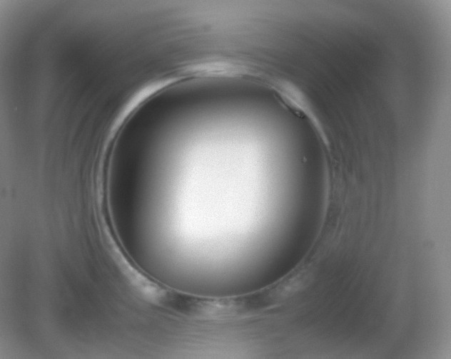 X0000082721195200702021437