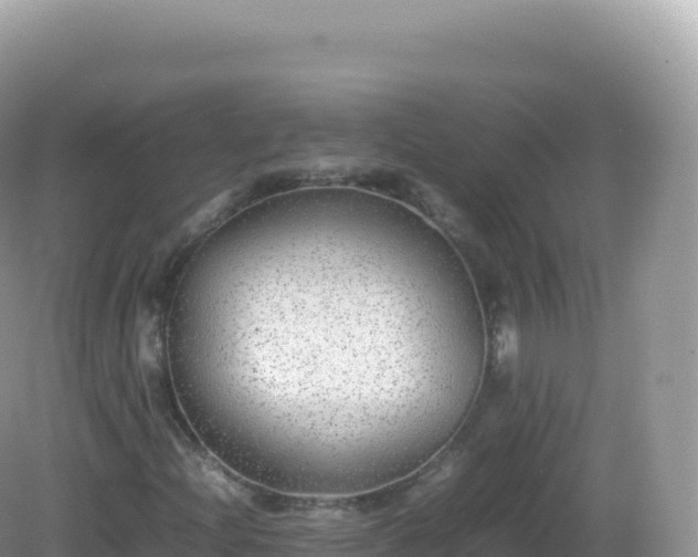 X0000082721204200702021436